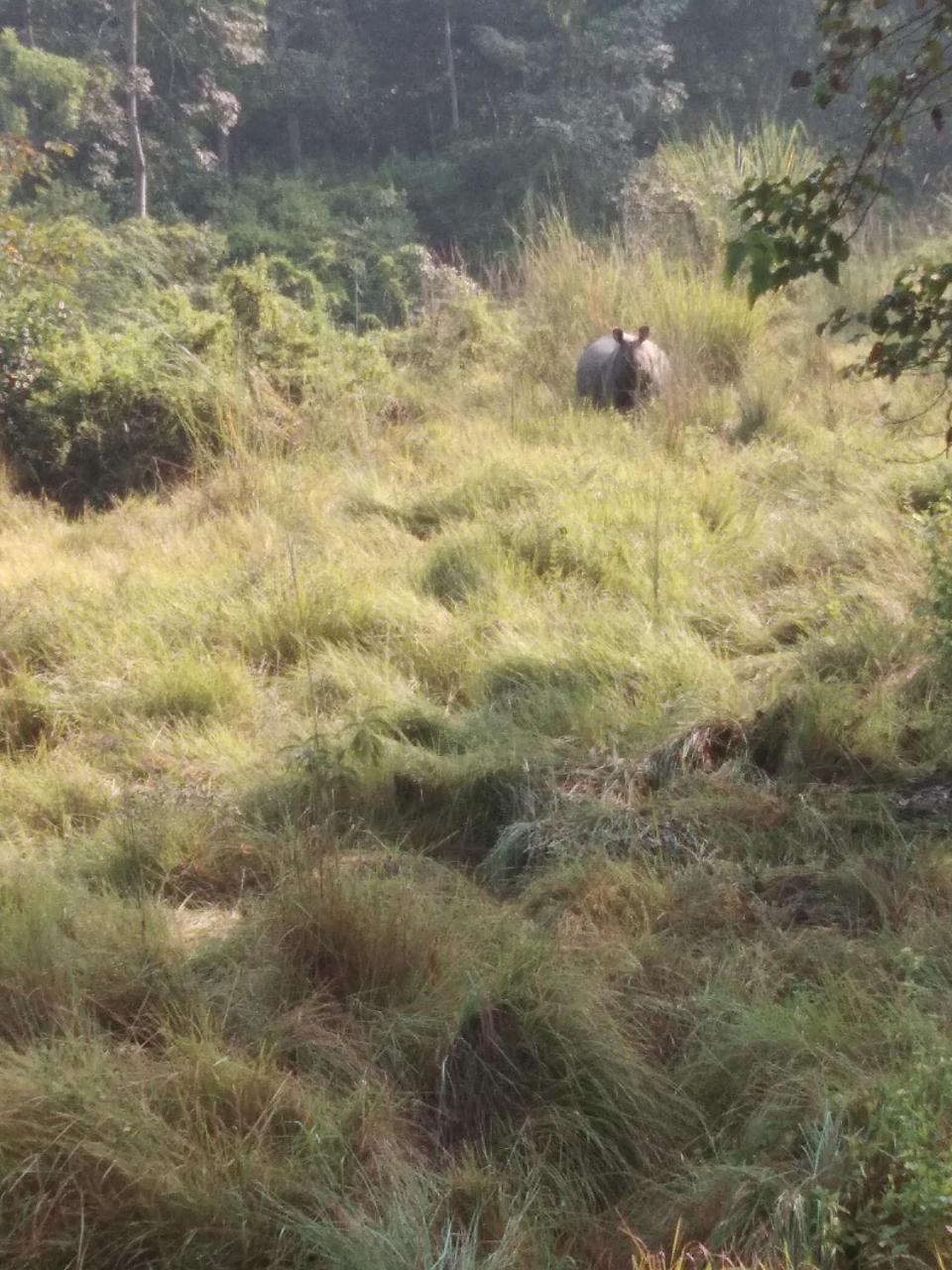 Chital Lodge Chitwan Exterior foto