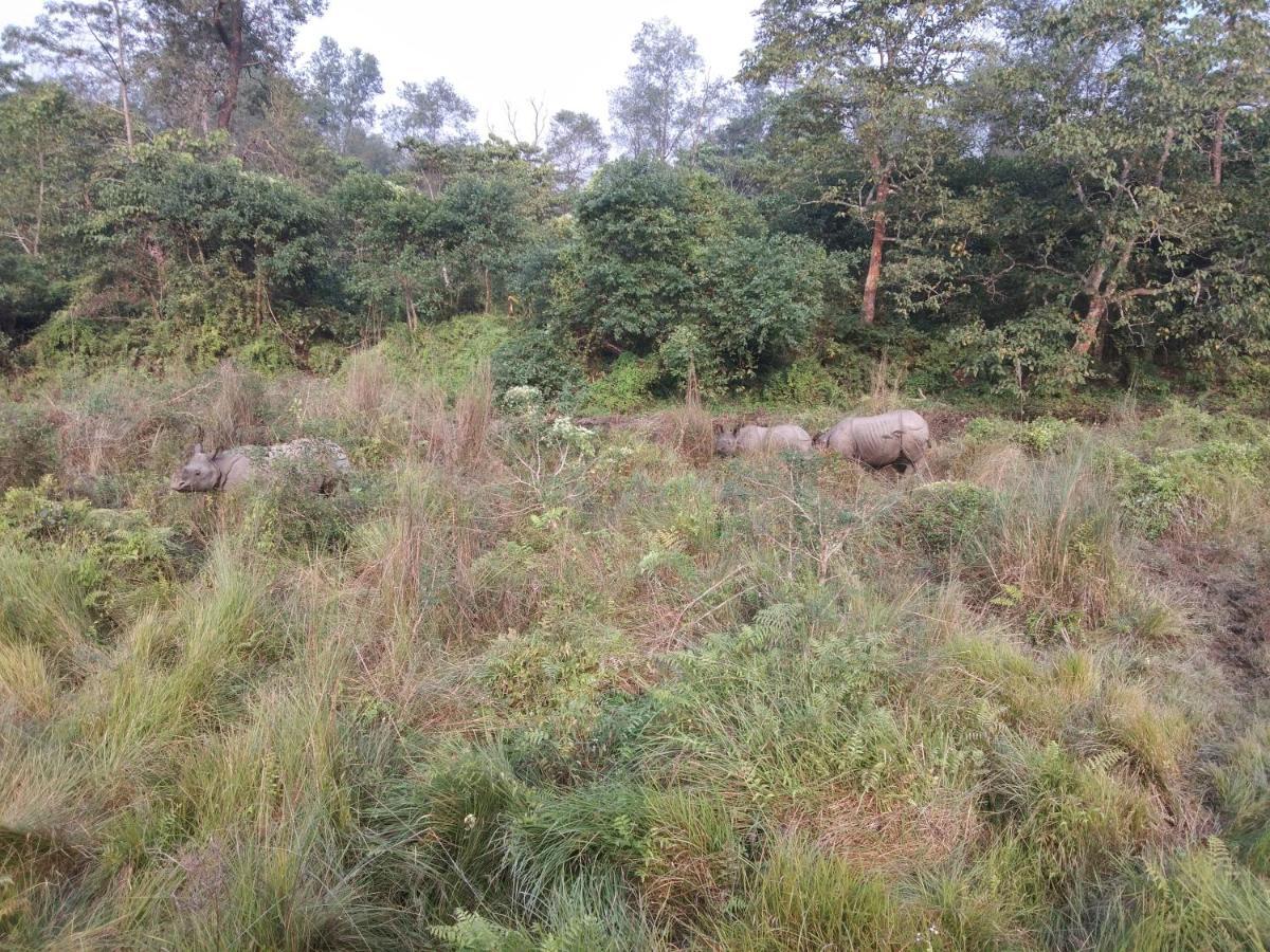 Chital Lodge Chitwan Exterior foto